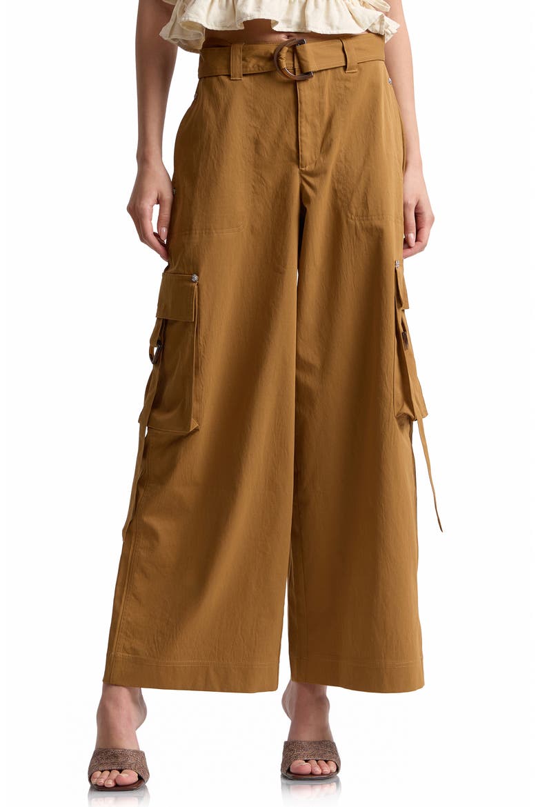 Belted Wide Leg Cargo Pants, Main, color, SPICE
