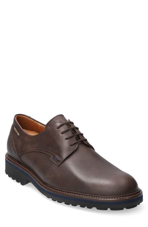 Mephisto Batiste Derby In Brown