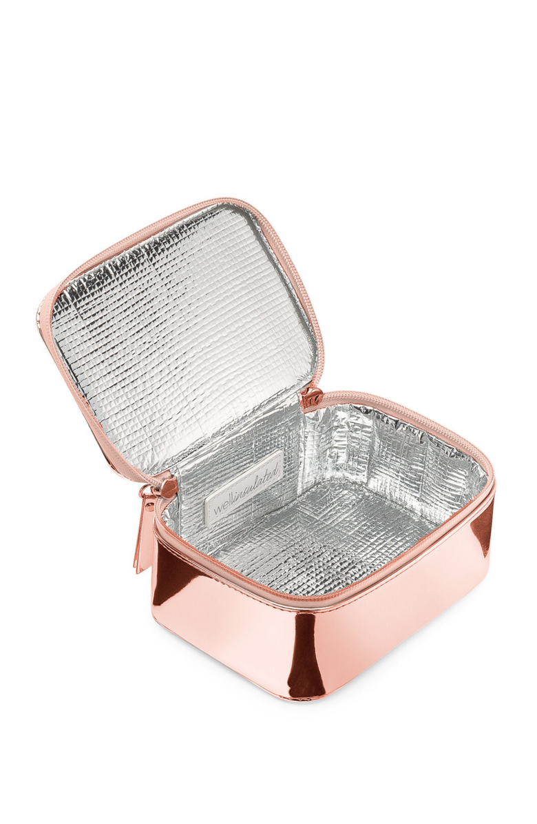 WELLinsulated Performance Mini Travel Case, Main, color, Rose Gold