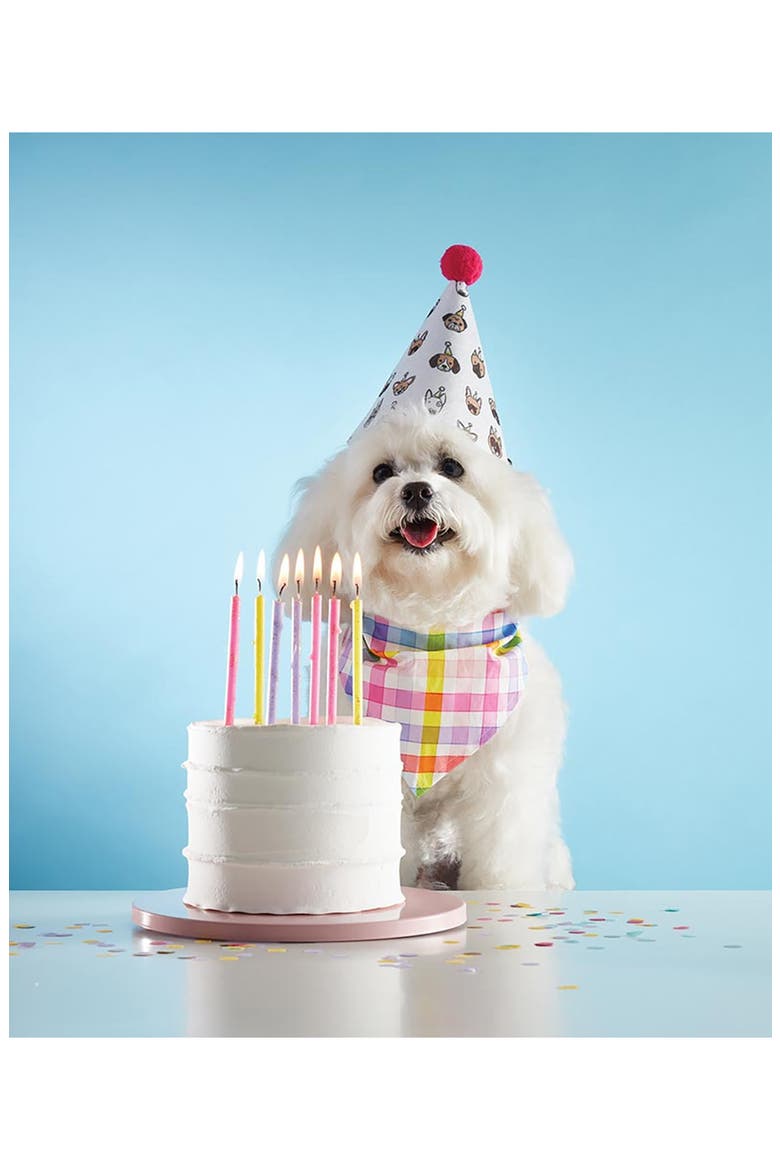 Birthday Dog Kit, Alternate, color, NO COLOR