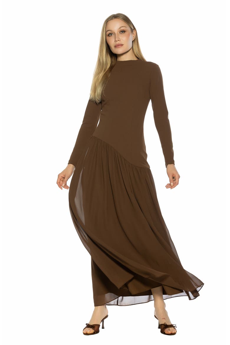 Dakota Long Sleeve Gown, Alternate, color, BROWN