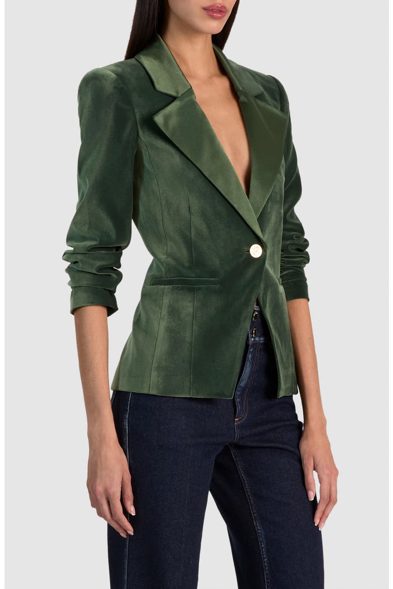 Sable Fitted Velvet Blazer, Alternate, color, DARK FERN