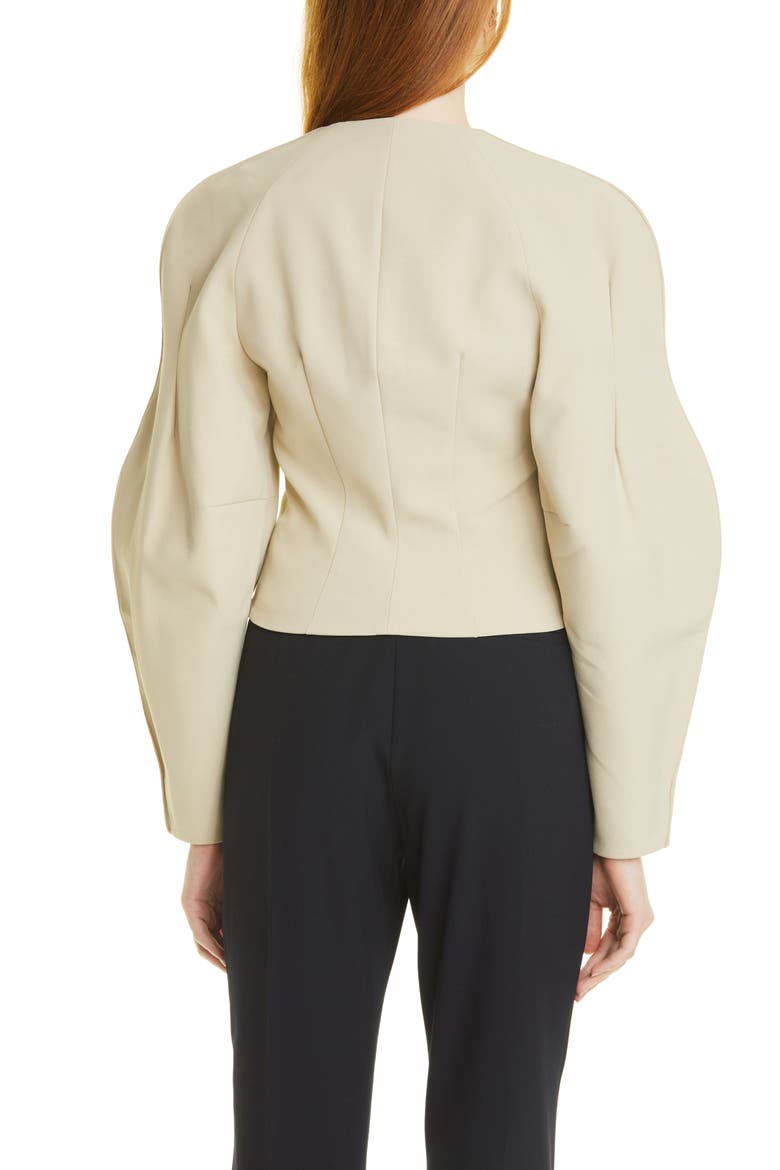 Harini Bustier Top, Alternate, color, STONE