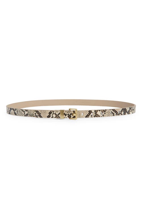Nordstrom Snakeskin Print Faux Leather Belt In Taupe Snake