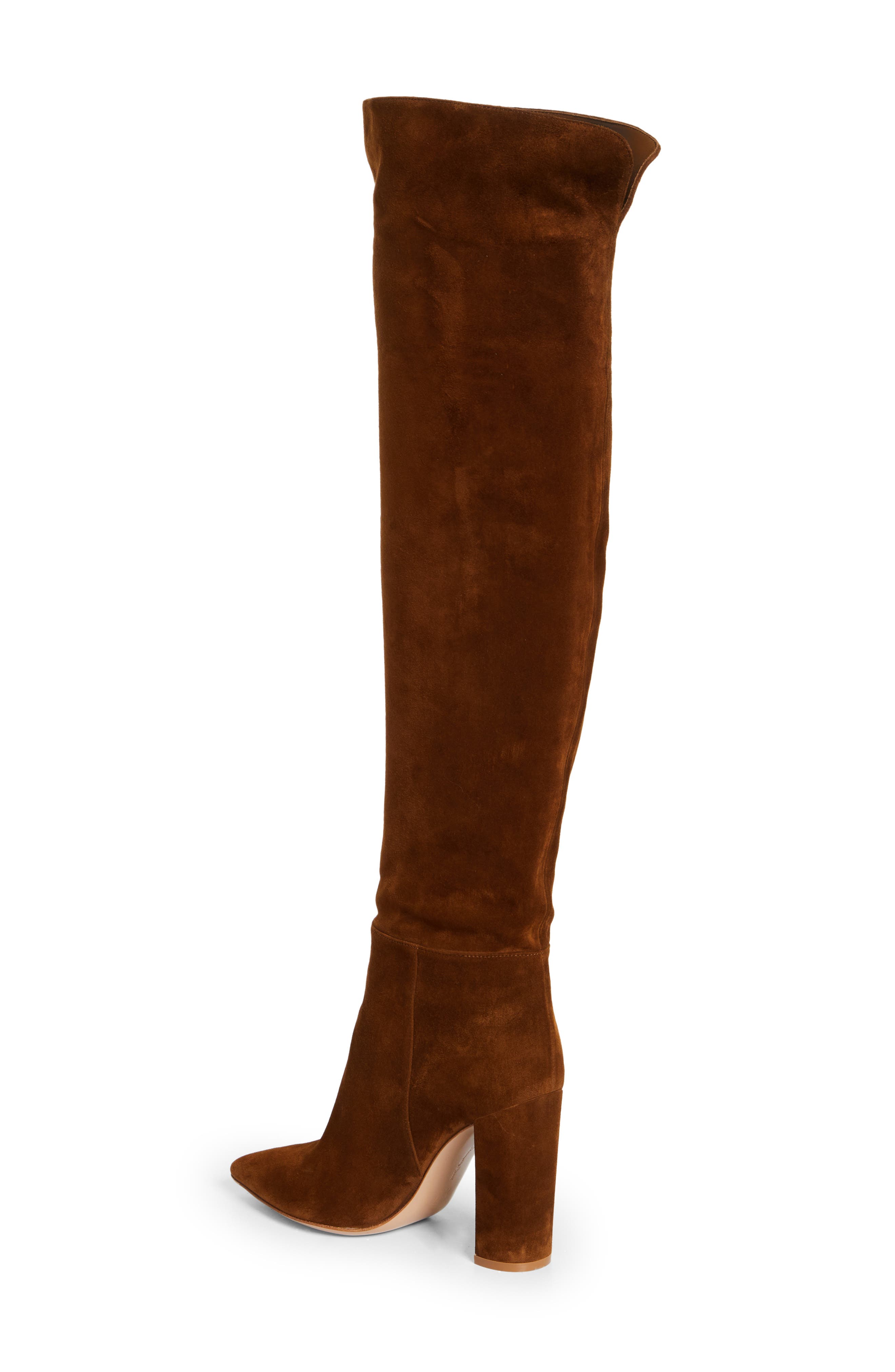 Gianvito Rossi Piper Pointed Toe Over the Knee Boot, Alternate, color, 