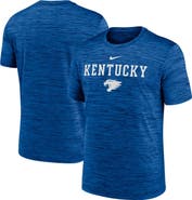 Nike Men's Nike Royal Kentucky Wildcats 2025 Sideline Velocity Performance T-Shirt