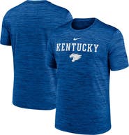 Nike Men's Nike Royal Kentucky Wildcats 2025 Sideline Velocity Performance T-Shirt