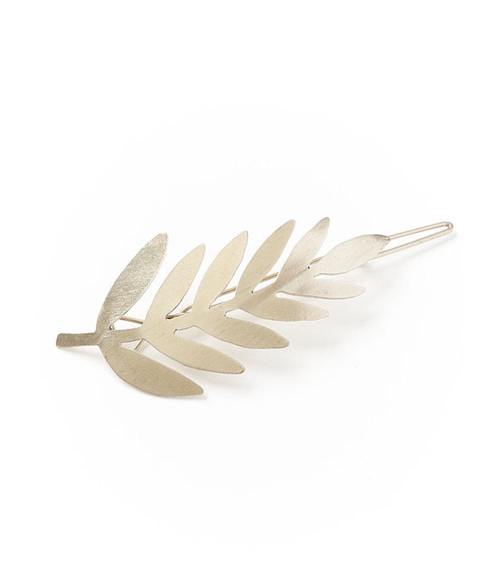 selected Silver Fern