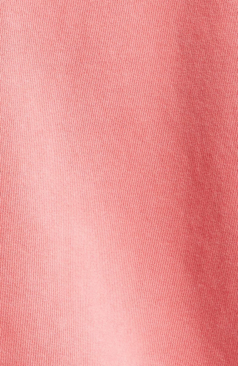 John Elliott Folsom Boxy Raglan Sleeve Hoodie, Alternate, color, 