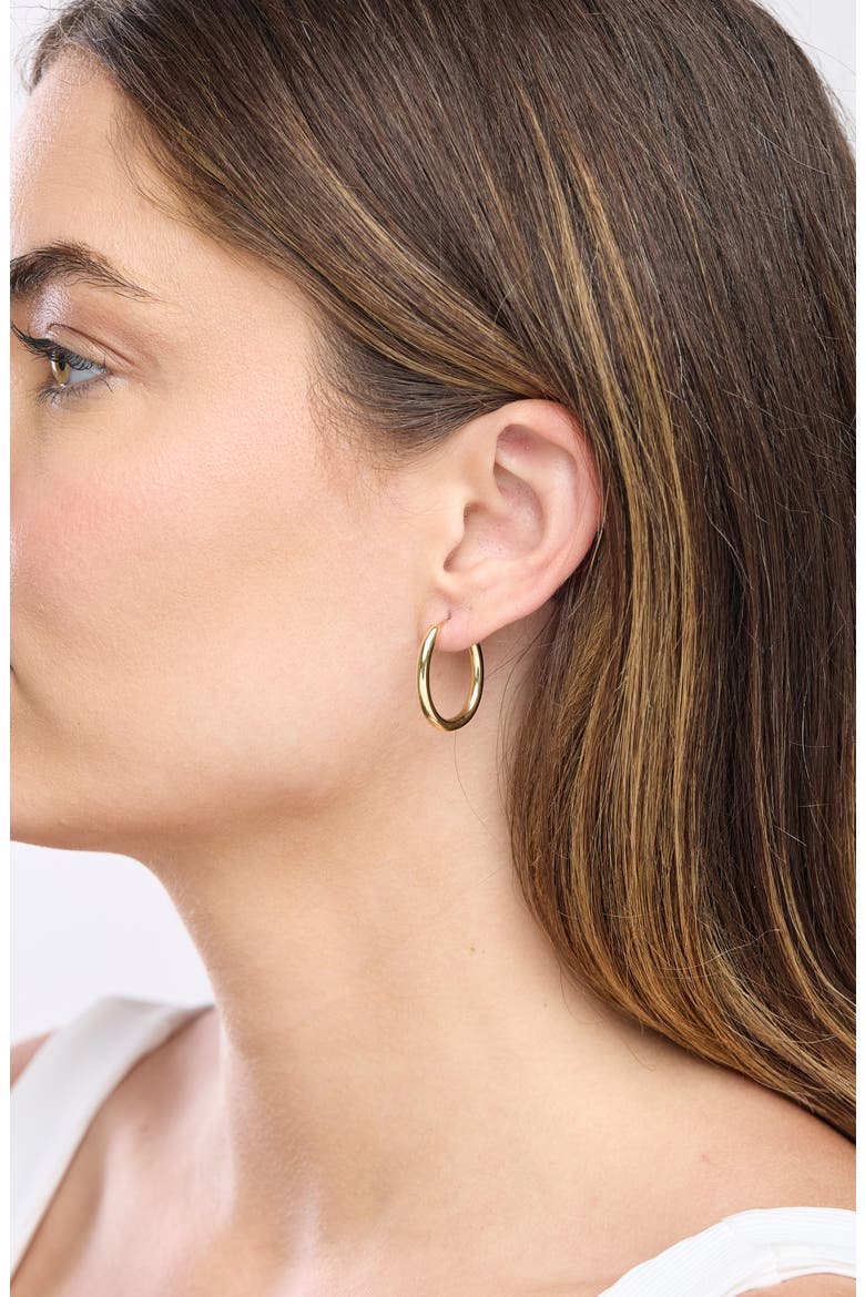 14k Gold Hoop Earrings, Alternate, color, 14KY