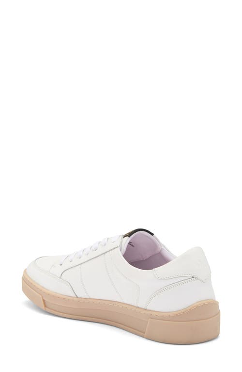 Shop Steve Madden Nyan Leather Sneaker In White/white