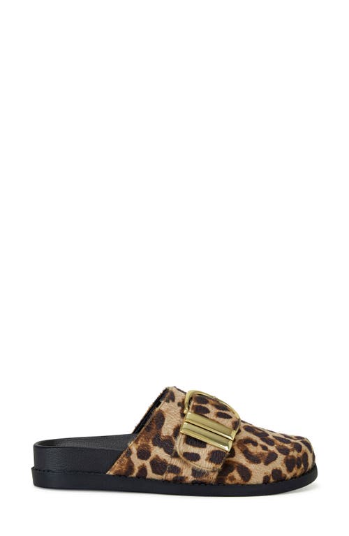 Azalea Wang Archibald Faux Calf Hair Clog In Leopard
