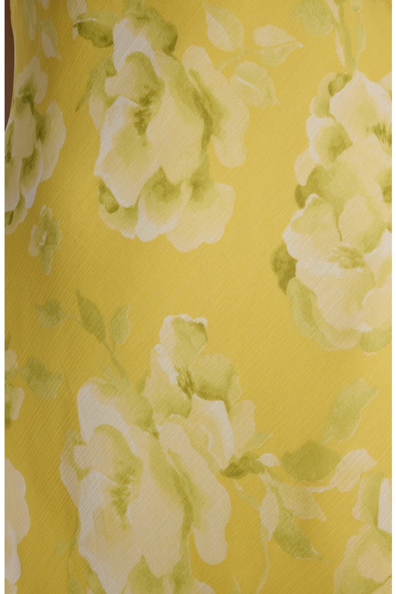 Floral Sleeveless Chiffon Maxi Dress, Alternate, color, QUINCE MULTI
