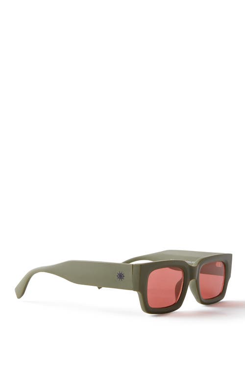 Cotton On The Crawler Sunglasses In Green