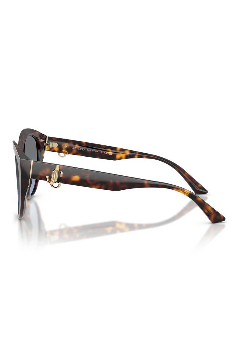 55mm Phantos Sunglasses, Alternate, color, HAVANA / GRADIENT BLUE