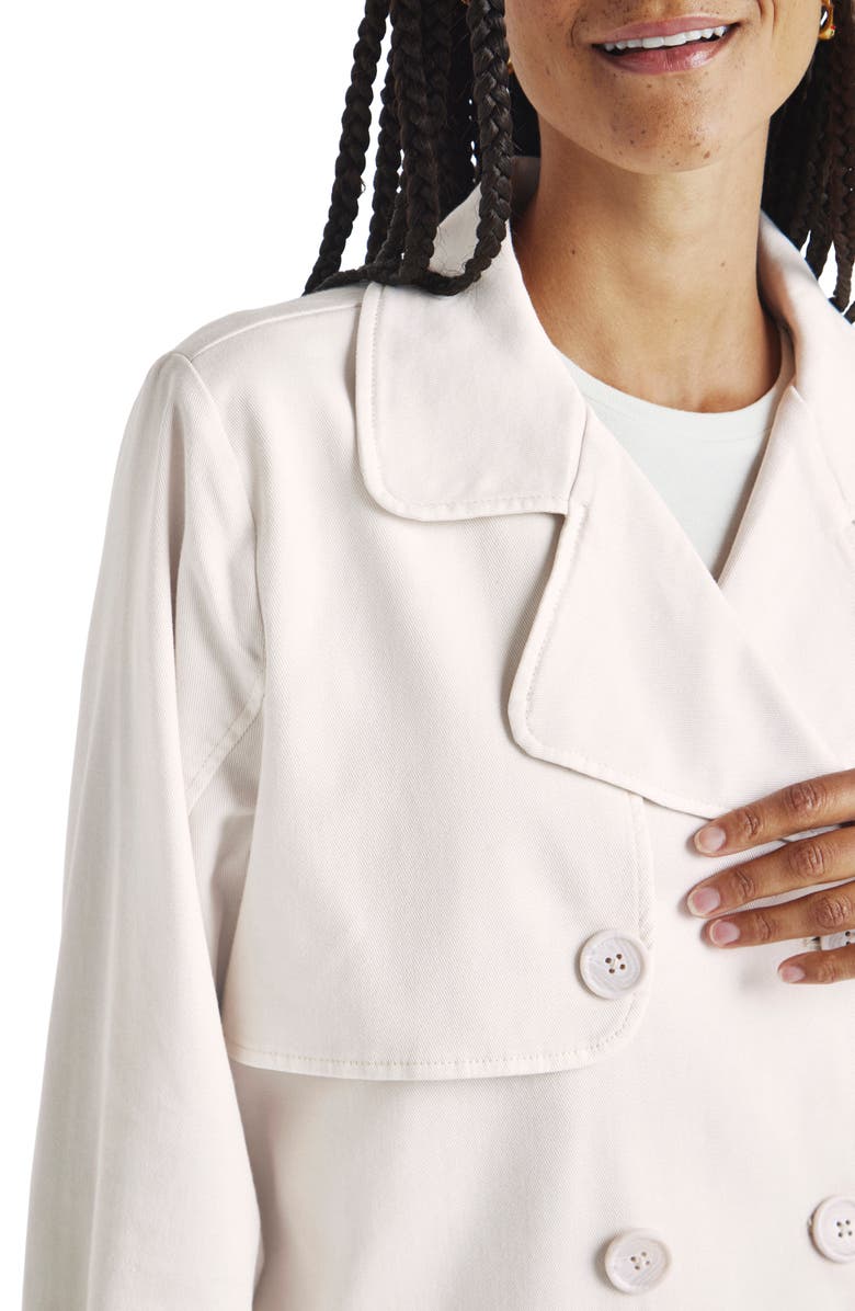 Splendid Portia Double Breasted Jacket, Alternate, color, 