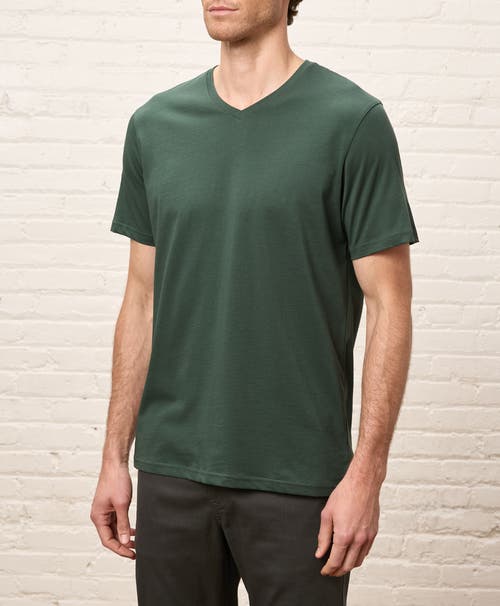 Pact Organic Cotton Softspun V-neck Tee In Green