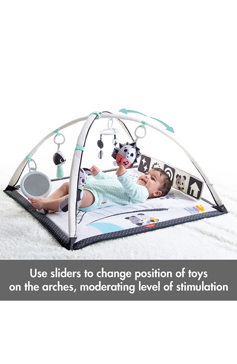 TINY LOVE Gymini Deluxe, Alternate, color,