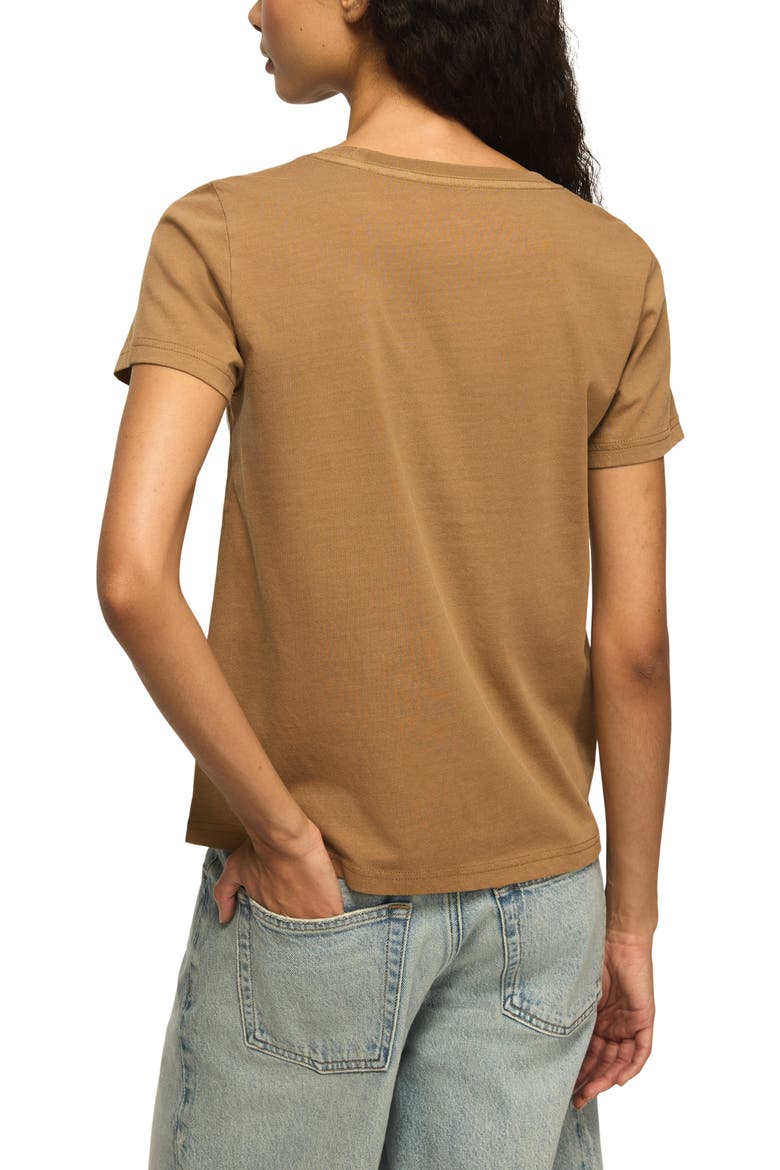 Floral Frame Graphic T-Shirt, Alternate, color, BROWN
