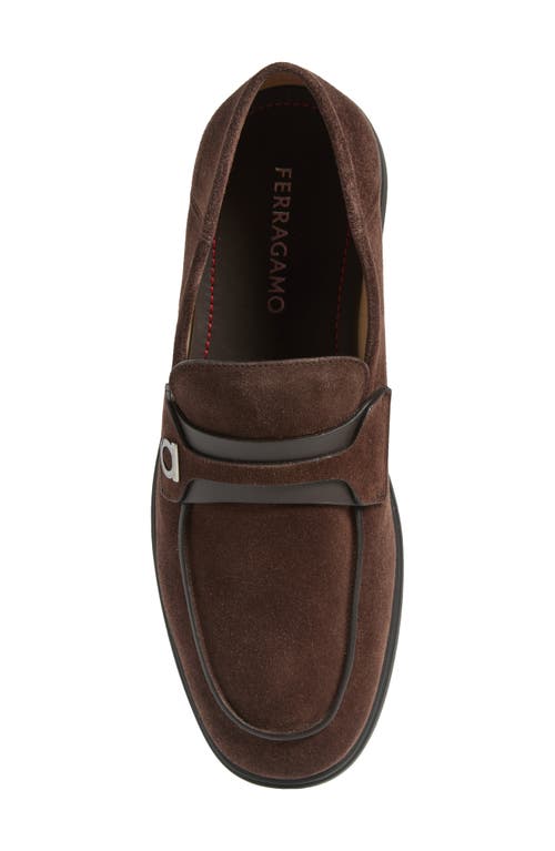 Ferragamo Drame Loafer In T.moro