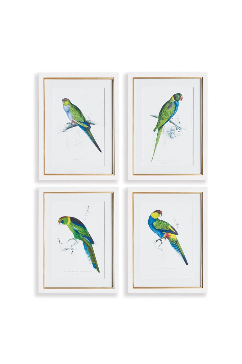 Colorful Parrots Prints St/4, Main, color, Green