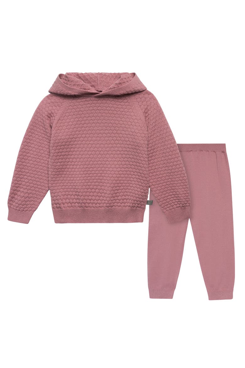 Sweater Knit Hoodie & Pant Set, Main, color, Rose