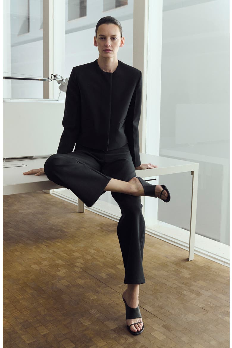 Crop Straight Leg Pants, Alternate, color, BLACK