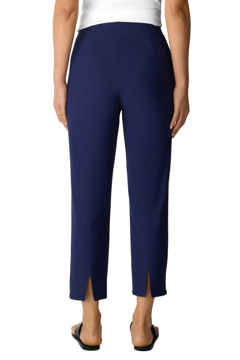 Slit Back Slim Crop Pants, Alternate, color, DEEP DIVE