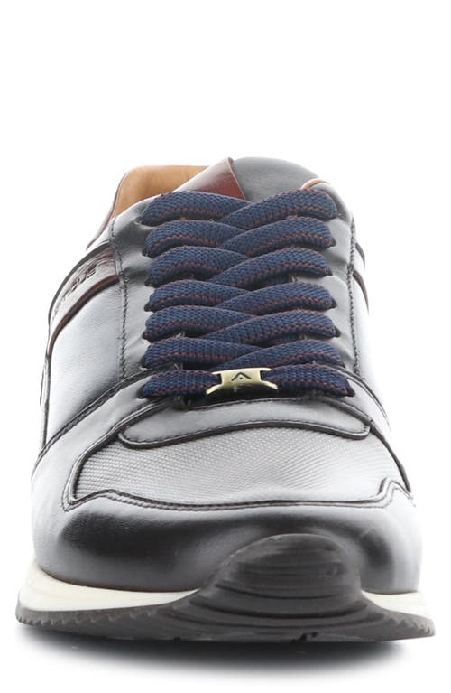Ambitious 11717 Low Top Sneaker In Multi