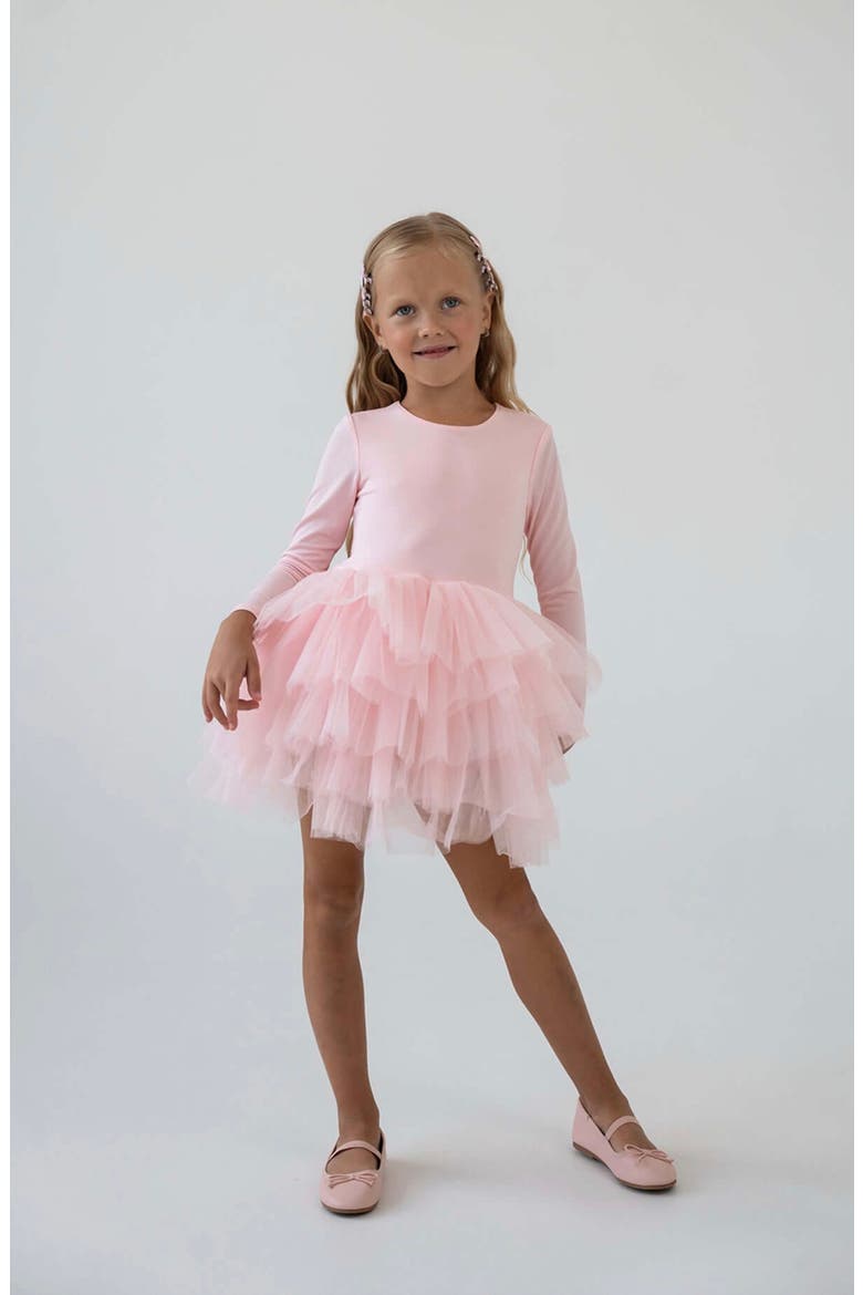 Rose Long Sleeve Fluffy Tutu Dress, Main, color, Pink Rose