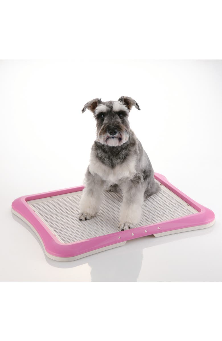 Richell PAW TRAX Mesh Dog Potty Training Tray, Alternate, color, Multicolored