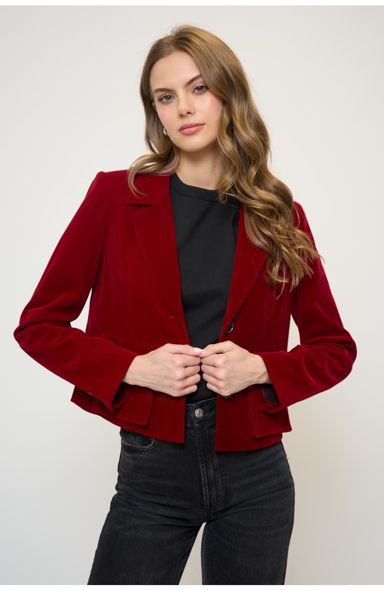 Central Park West Ember Velvet Boxy Blazer, Main, color, Burgundy