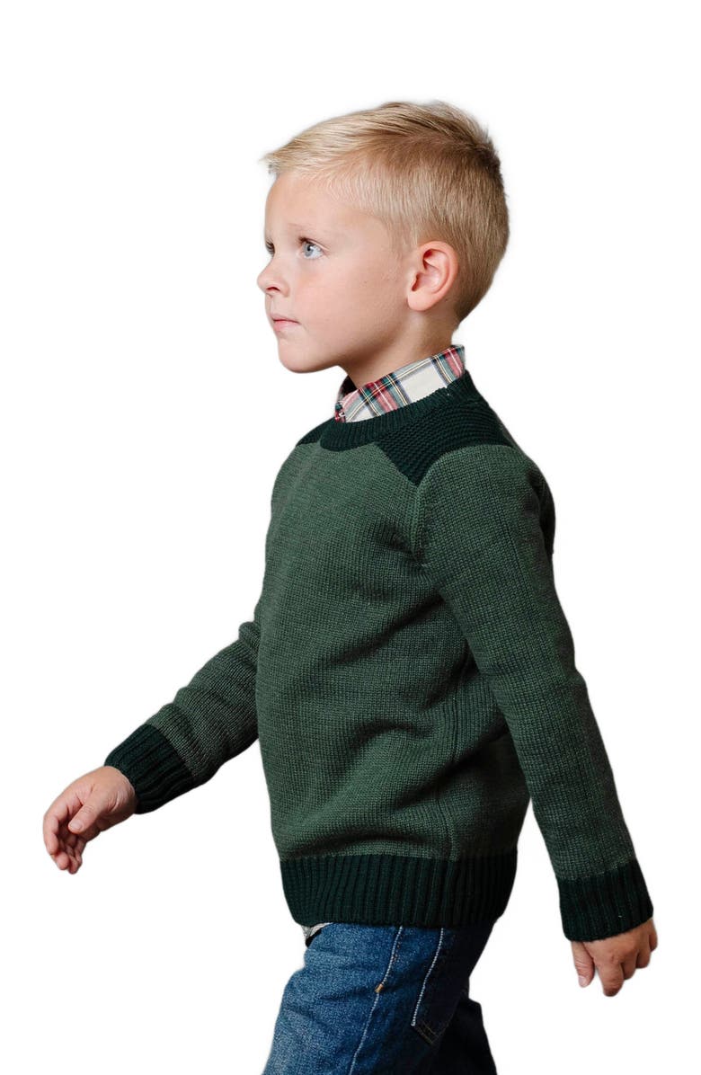 Hope & Henry Boys' Organic Shoulder Detail Crew Neck Sweater, Kids, Alternate, color, 