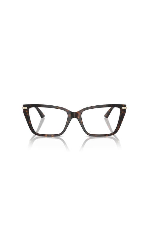 Jimmy Choo 55mm Cat Eye Optical Glasses In Brown