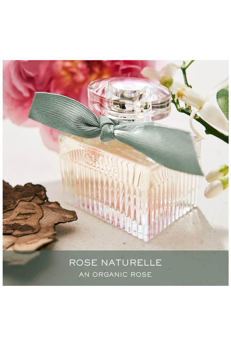 Eau de Parfum Naturelle, Alternate, color, REFILL