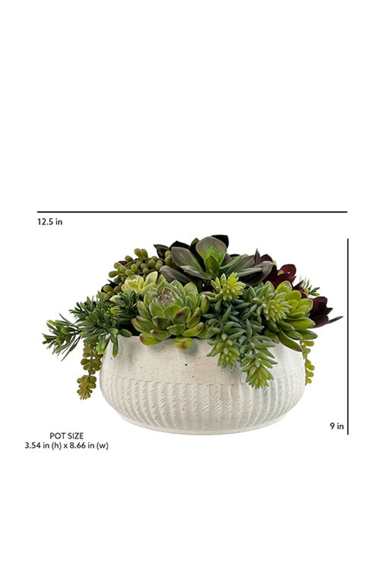 12" Succulent Arrangement, Alternate, color, White