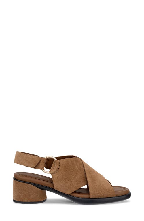 Ecco Cross Strap Slingback Sandal In Brown