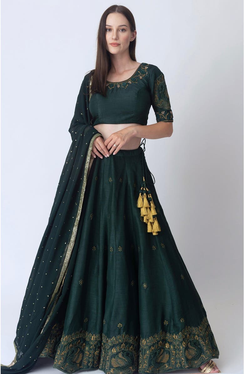 RAAS Sayona Raw Silk Embroidered Lehenga Choli, Alternate, color, 