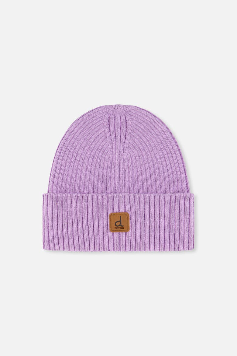 Ribbed Knit Folded Cuff Faux Leather Patch Hat, Main, color, Lavender