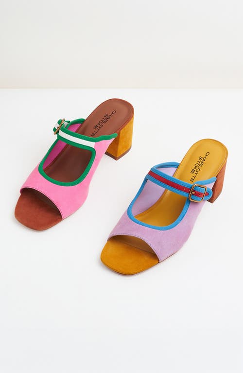 Charlotte Stone Trissa Mismatch Mary Jane Slide Sandal In Multi