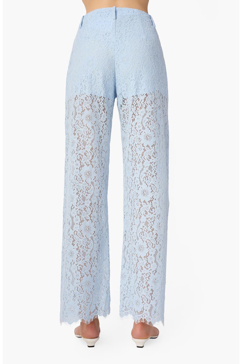 Zinaida Floral Lace Pants, Alternate, color, DEW