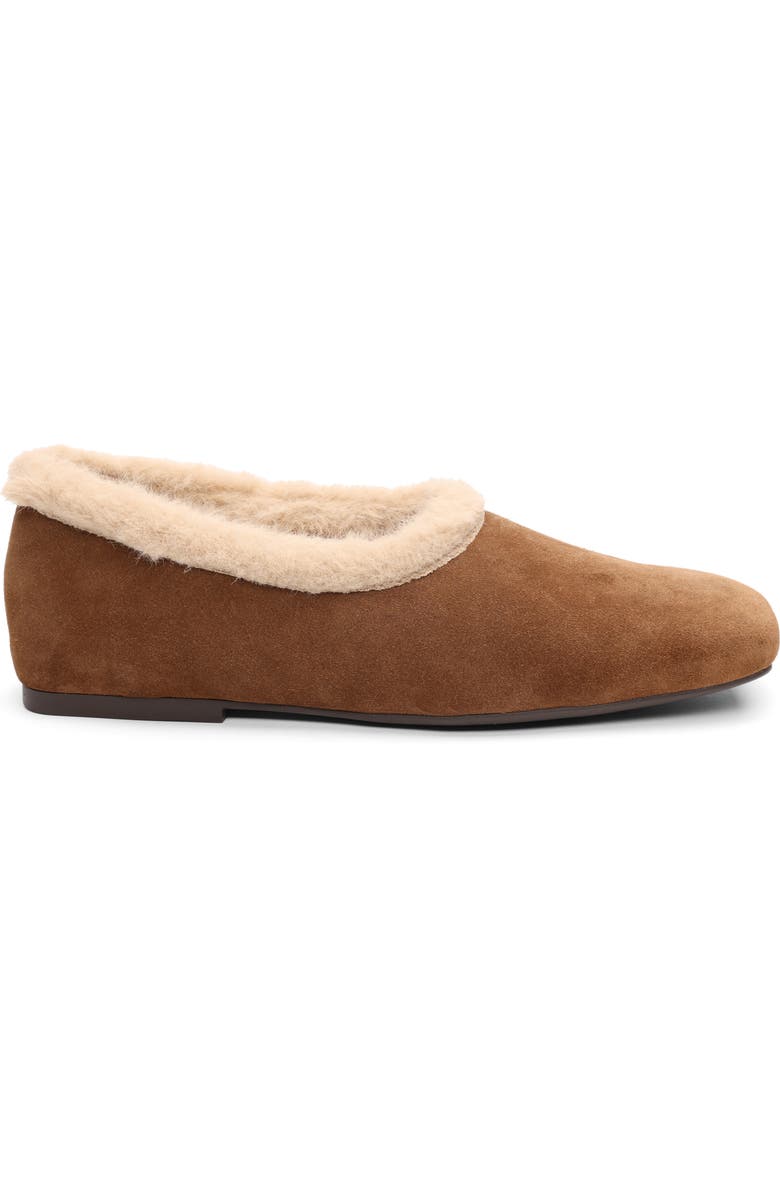 Ash Bianca Faux Fur Lined Ballet Flat, Alternate, color, Land