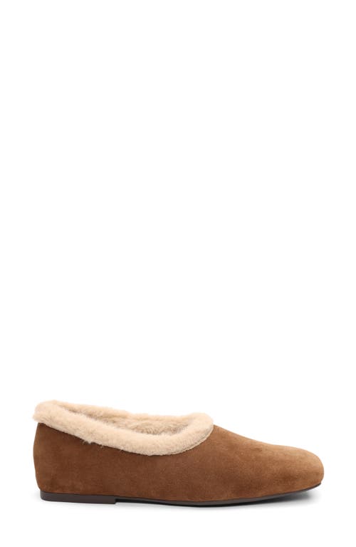 Ash Bianca Faux Fur Lined Ballet Flat In Brown