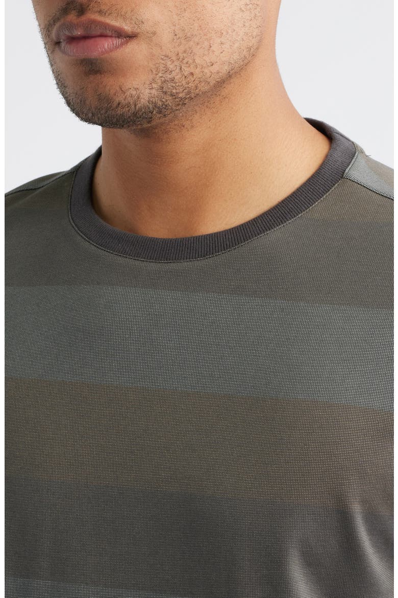 Morning Lake Short Sleeve Crewneck T-Shirt, Alternate, color, BROWN