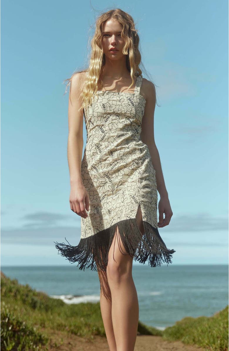 Eddy Avery Embroidered Fringe Mini Dress, Alternate, color,