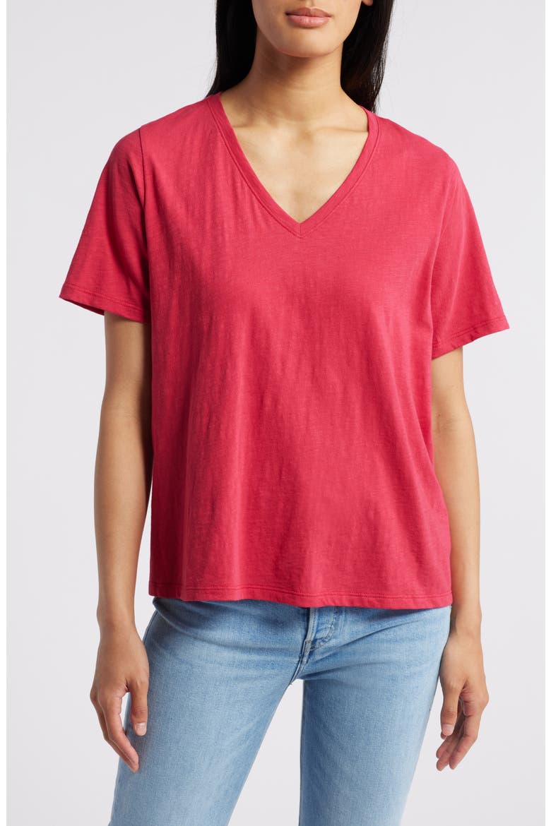 Easy V-Neck Organic Cotton T-Shirt, Main, color, AZALA