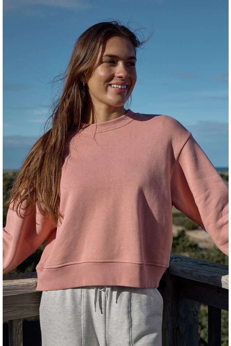 Northcoast Sweatshirt, Alternate, color, SHELL
