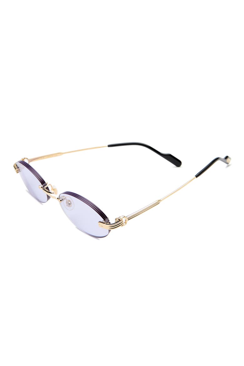 CT0615S Small Oval Sunglasses, Alternate, color, GOLD