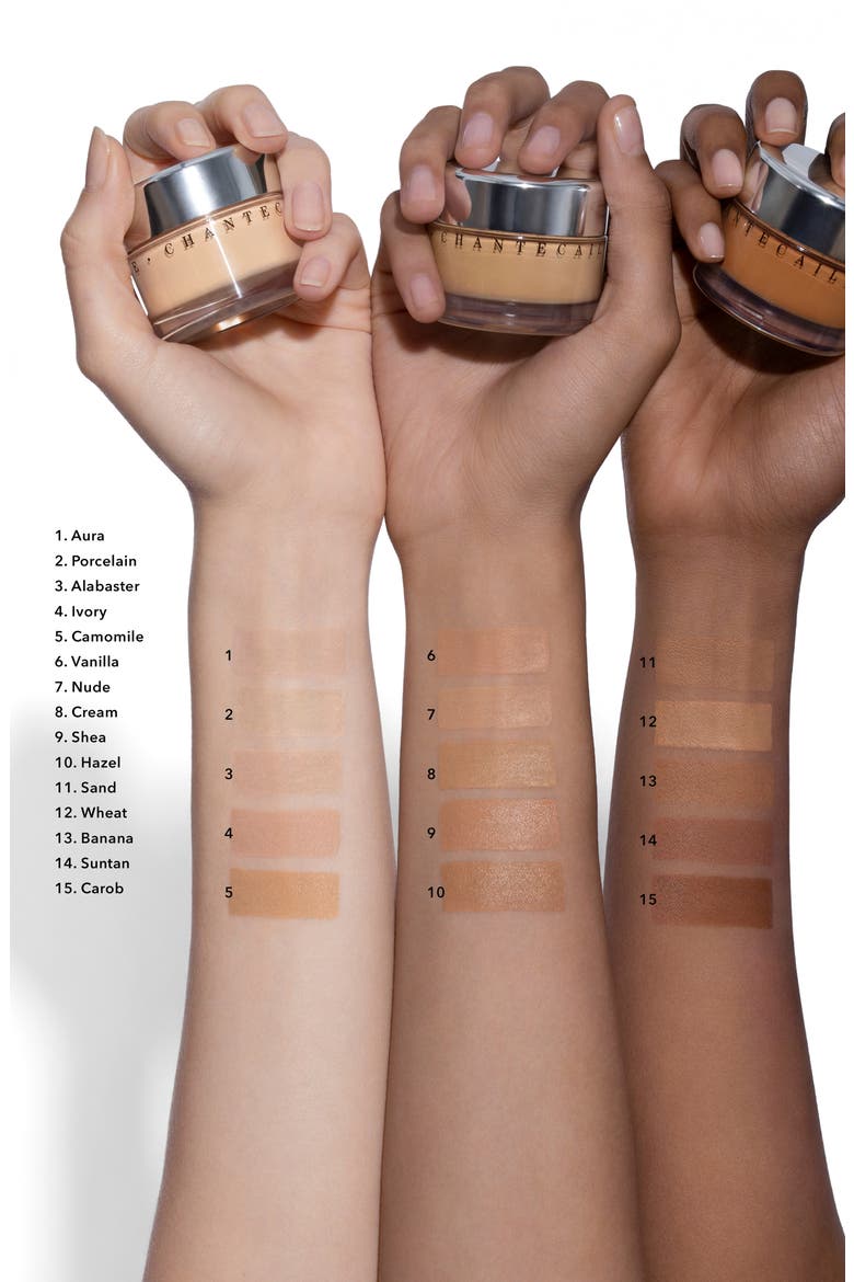 Future Skin Gel Foundation, Alternate, color, ALABASTER