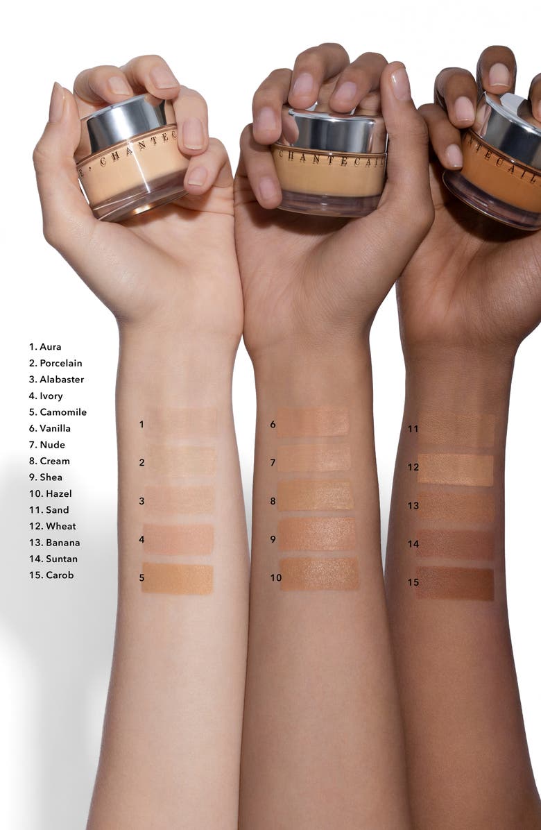 Chantecaille Future Skin Gel Foundation, Alternate, color,